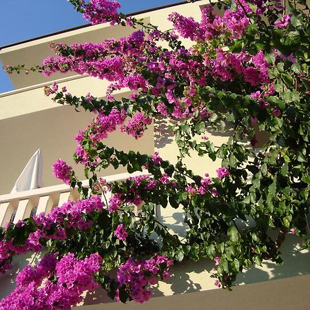 Apartments Villa Cizmic Baška Voda Екстериор снимка