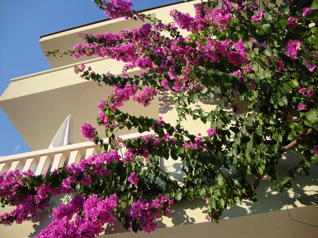 Apartments Villa Cizmic Baška Voda Екстериор снимка