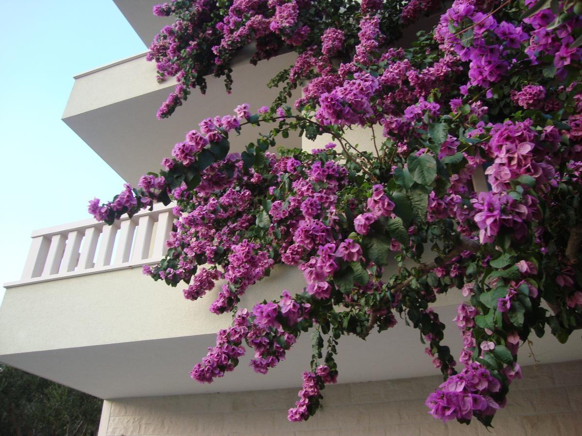 Apartments Villa Cizmic Baška Voda Екстериор снимка